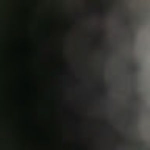 Meet your Posher, Deshun